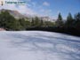 Foto Nieve 40