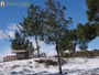 Foto Nieve 47