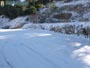 Foto Nieve 50