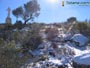 Foto Nieve 51