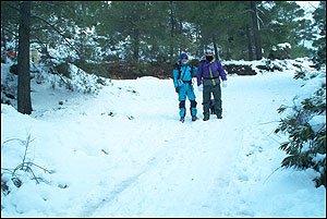 Foto Nieve 4