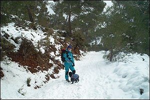 Foto Nieve 5