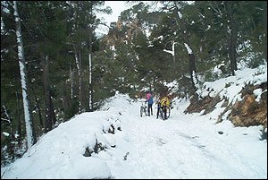 Foto Nieve 6