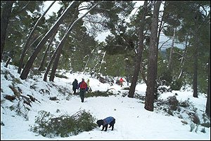 Foto Nieve 9