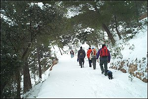 Foto Nieve 12