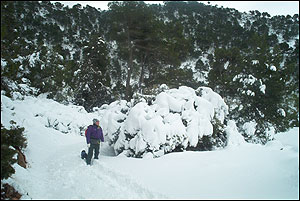 Foto Nieve 15