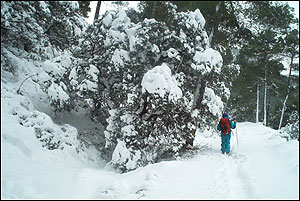 Foto Nieve 16