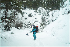 Foto Nieve 18