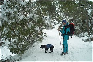 Foto Nieve 19