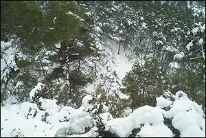 Foto Nieve 20