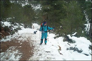 Foto Nieve 21