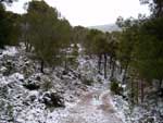 Fotos de la Nieve 12