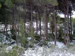 Fotos de la Nieve 13