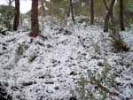 Fotos de la Nieve 14