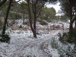 Fotos de la Nieve 15