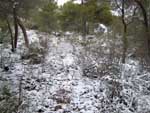 Fotos de la Nieve 16