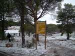Fotos de la Nieve 18