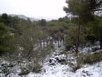 Fotos de la Nieve 19