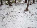 Fotos de la Nieve 20