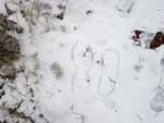 Fotos de la Nieve 21