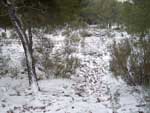 Fotos de la Nieve 24