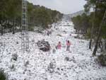 Fotos de la Nieve 26