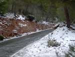Fotos de la Nieve 28