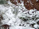 Fotos de la Nieve 29