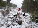 Fotos de la Nieve 31