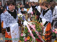 Ofrenda Foral St. Eulalia 1