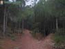 Foto Sierra de Pe�arubia y Cerro de los Enamorados 4