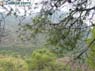 Foto Sierra de Pe�arubia y Cerro de los Enamorados 11