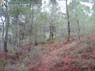 Foto Sierra de Pe�arubia y Cerro de los Enamorados 26