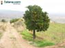 Foto Sierra de Pe�arubia y Cerro de los Enamorados 28
