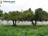 Foto Sierra de Pe�arubia y Cerro de los Enamorados 30