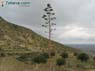 Foto Sierra de Pe�arubia y Cerro de los Enamorados 34