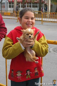 Foto Perro Canino 13
