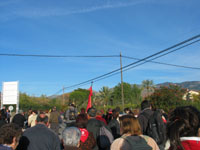 Romeria Enero - Foto 1