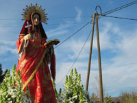 Romeria Enero - Foto 7