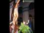 Santo Entierro 6