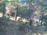 Foto Sierra Tercia 13
