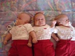 Qué le ha hecho Alejandro a sus hermanos? - 43